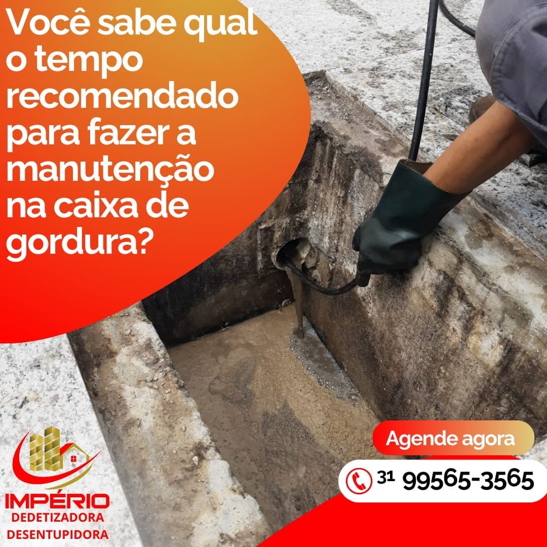 Desentupidora